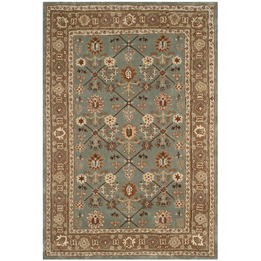 SAFAVIEH Total Performance TLP723A Blue / Taupe Rug Image 10