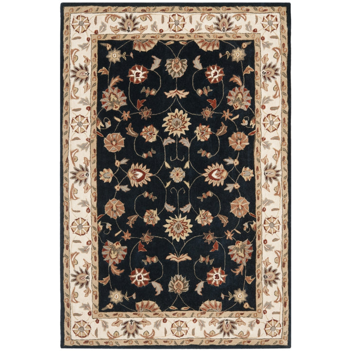 SAFAVIEH Total Performance TLP725C Navy / Ivory Rug Image 1