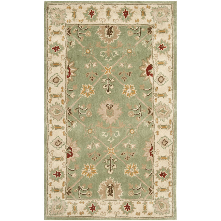 SAFAVIEH Total Performance TLP723C Green / Ivory Rug Image 8