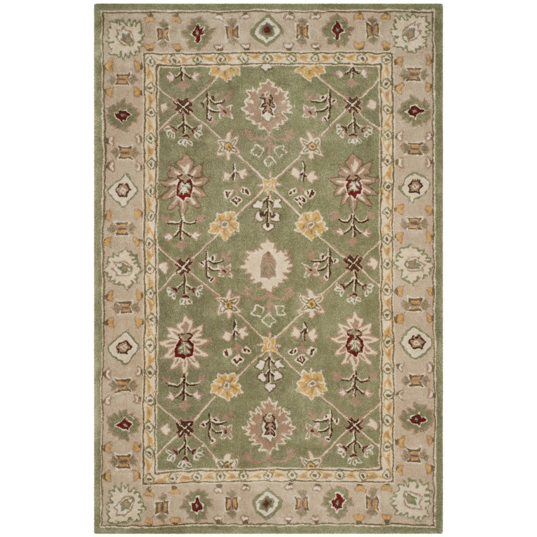 SAFAVIEH Total Performance TLP723C Green / Ivory Rug Image 9