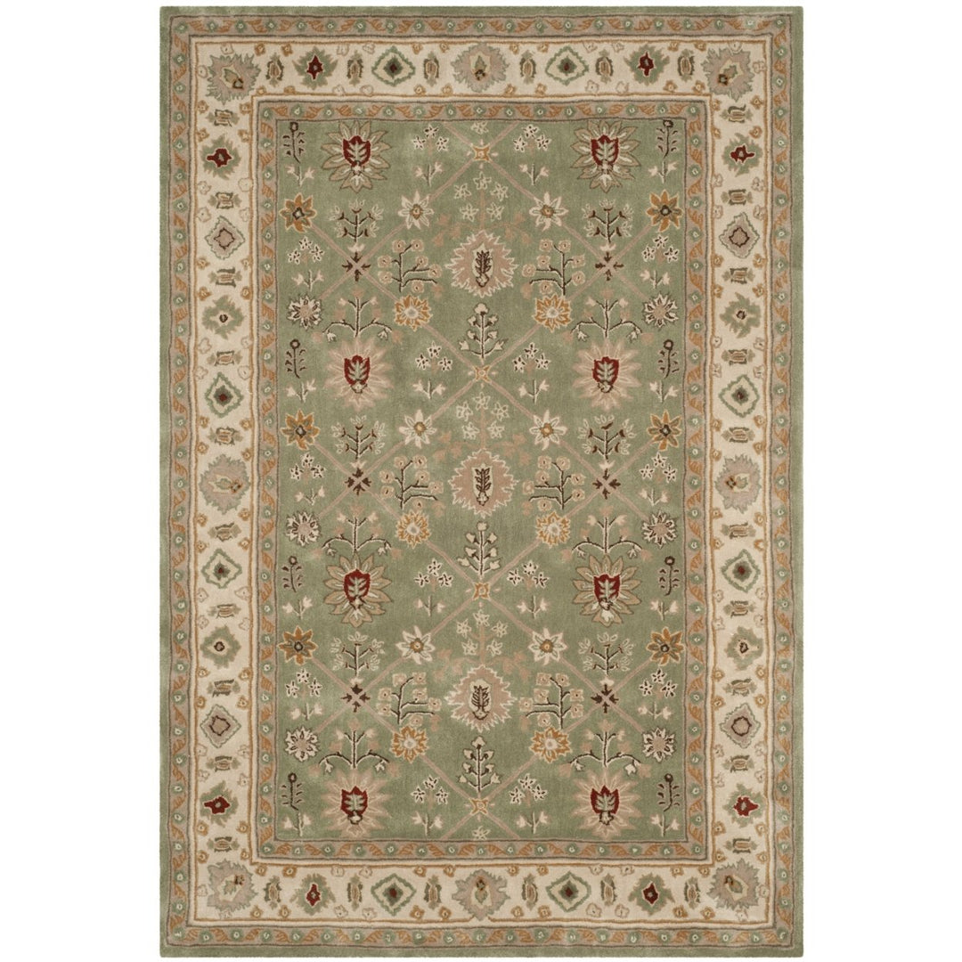 SAFAVIEH Total Performance TLP723C Green / Ivory Rug Image 10