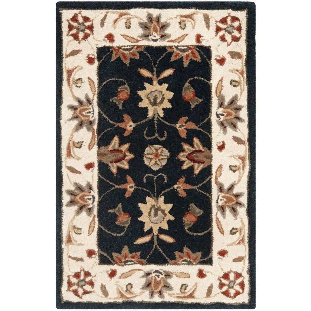 SAFAVIEH Total Performance TLP725C Navy / Ivory Rug Image 5