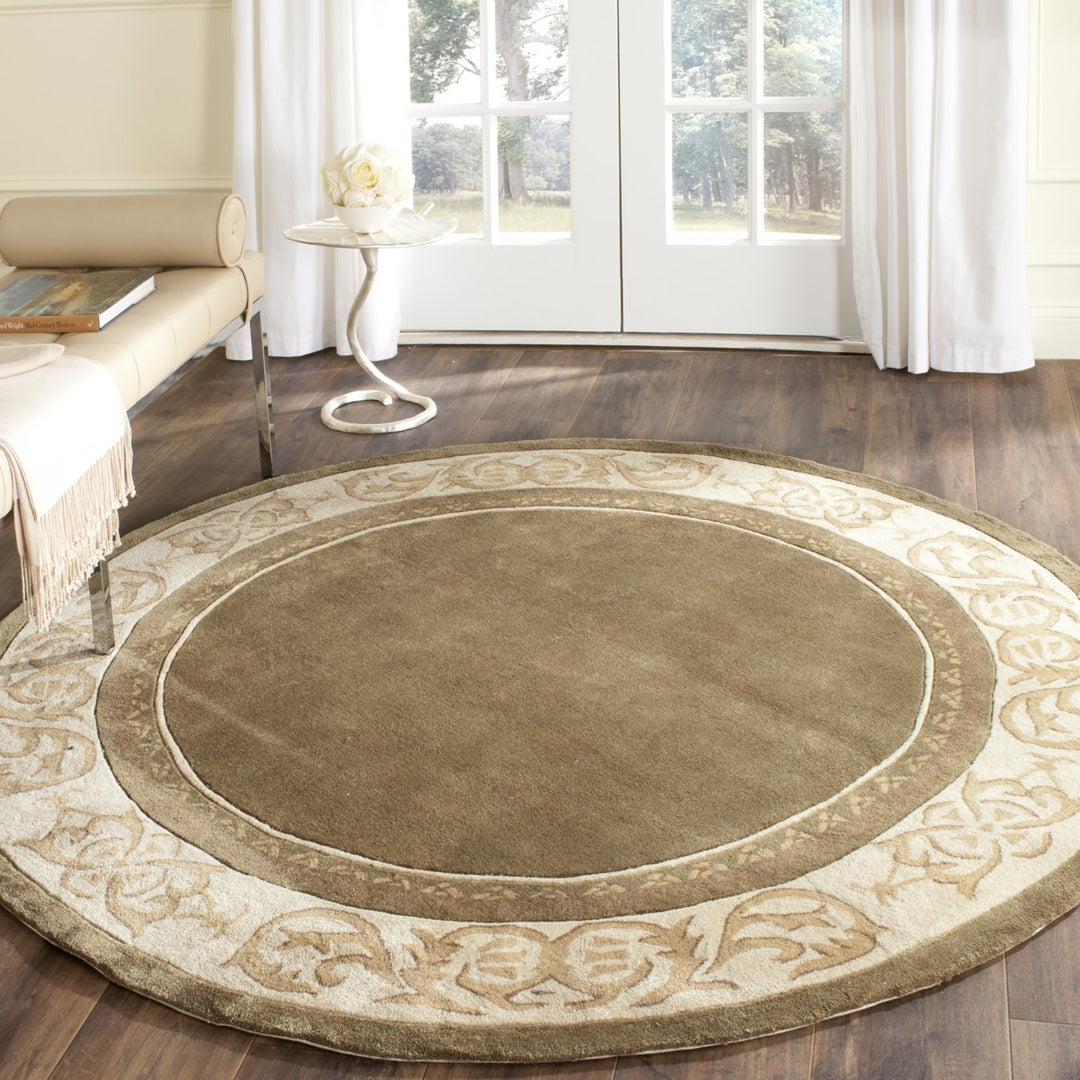 SAFAVIEH Total Performance TLP727C Olive / Ivory Rug Image 2