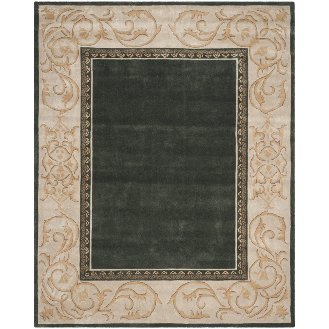 SAFAVIEH Total Performance TLP727I Green / Ivory Rug Image 1