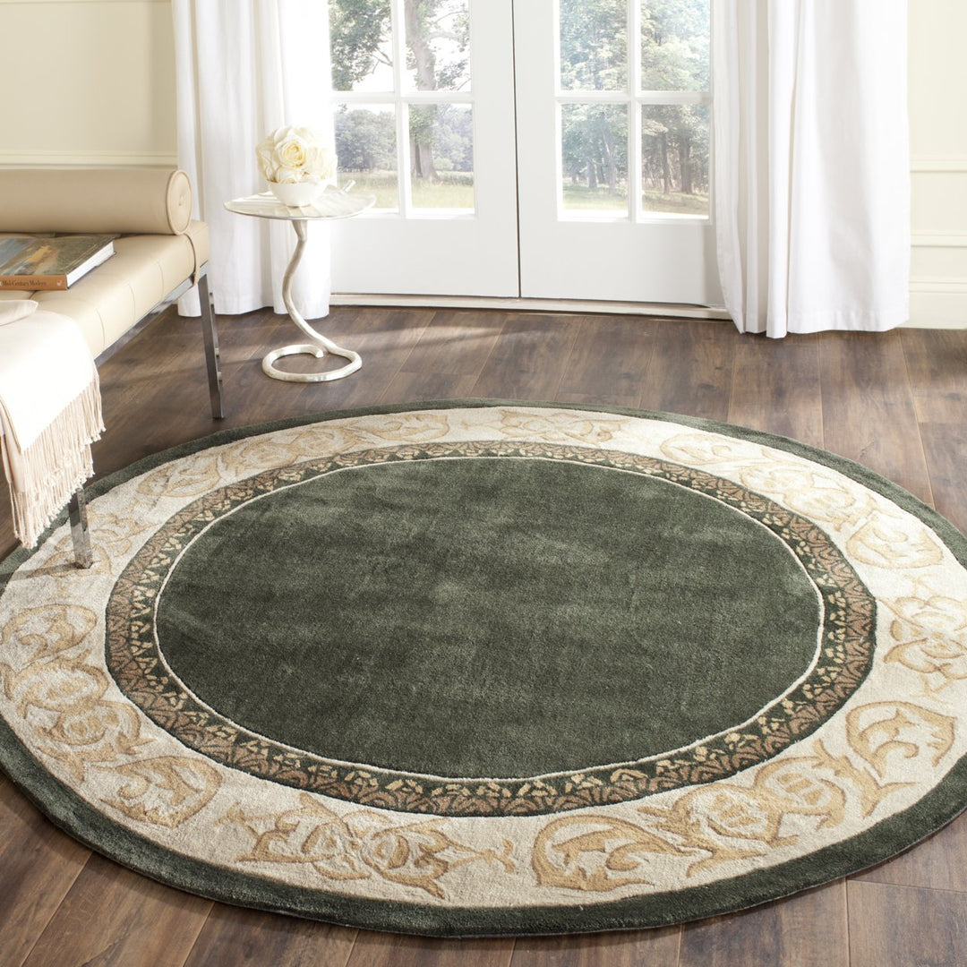 SAFAVIEH Total Performance TLP727I Green / Ivory Rug Image 2