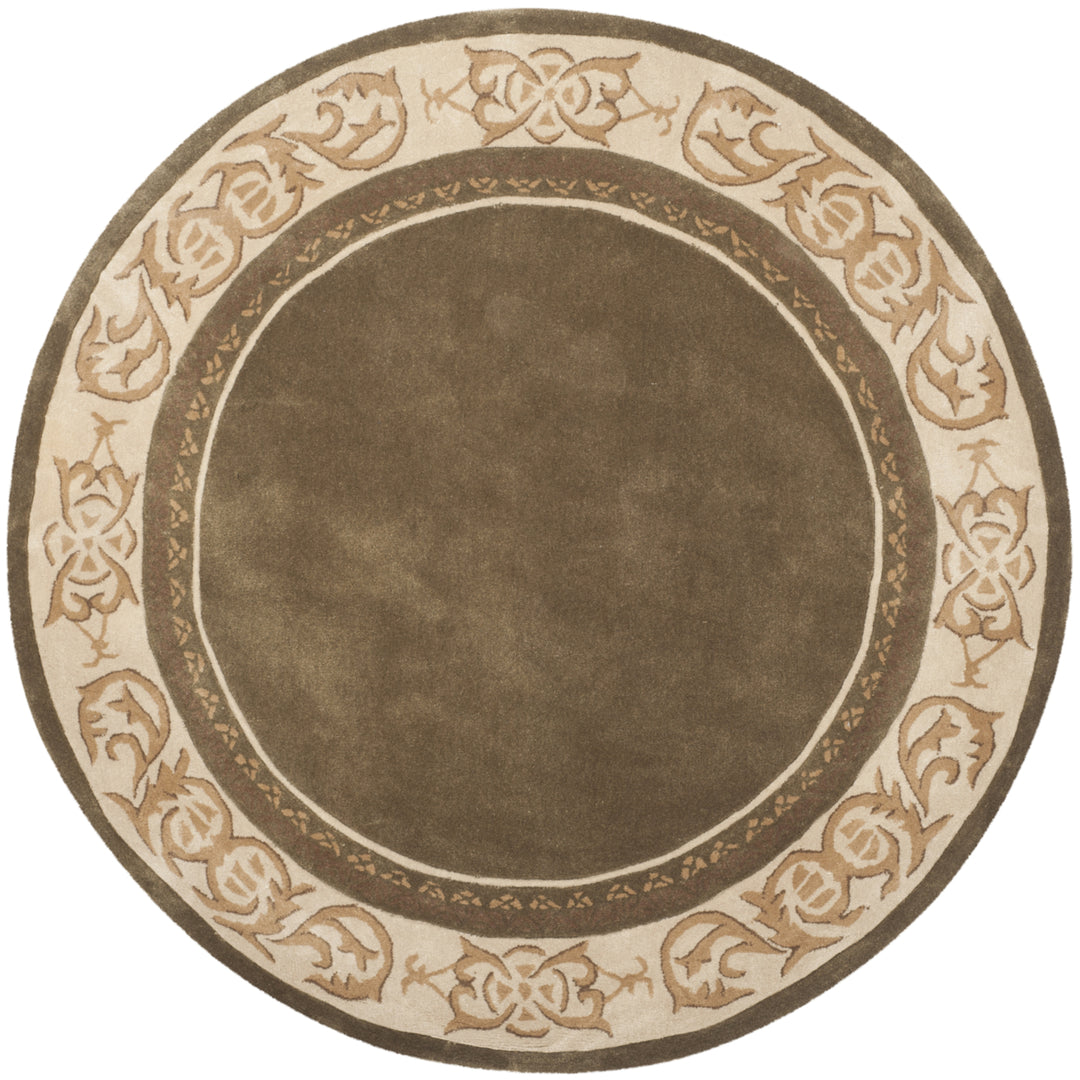 SAFAVIEH Total Performance TLP727C Olive / Ivory Rug Image 4