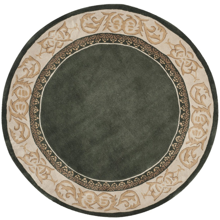 SAFAVIEH Total Performance TLP727I Green / Ivory Rug Image 4