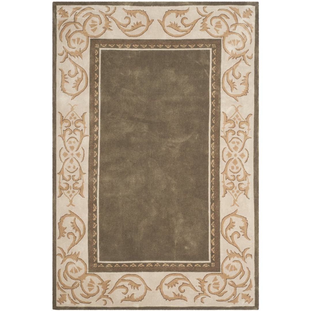 SAFAVIEH Total Performance TLP727C Olive / Ivory Rug Image 1