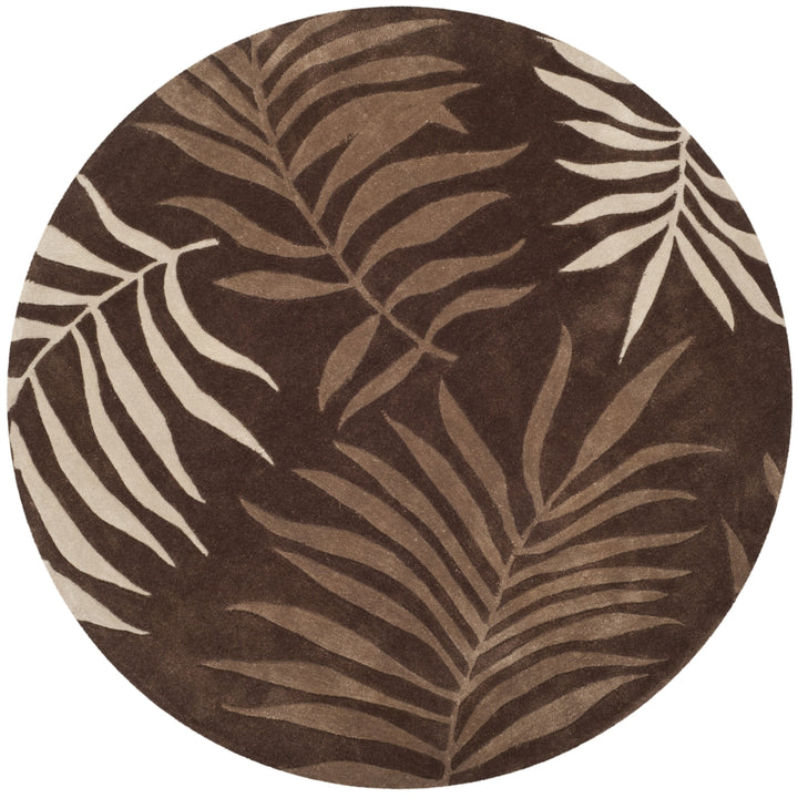 SAFAVIEH Total Performance TLP740C Hand-hooked Mocha Rug Image 3