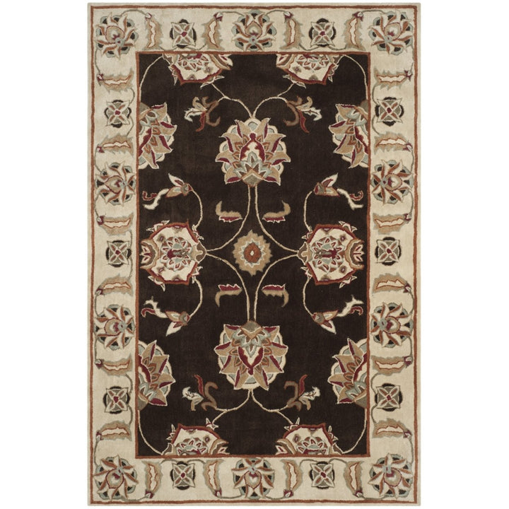 SAFAVIEH TLP742A Total Performance Brown / Ivory Image 1