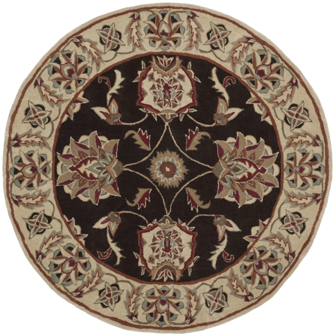 SAFAVIEH TLP742A Total Performance Brown / Ivory Image 6