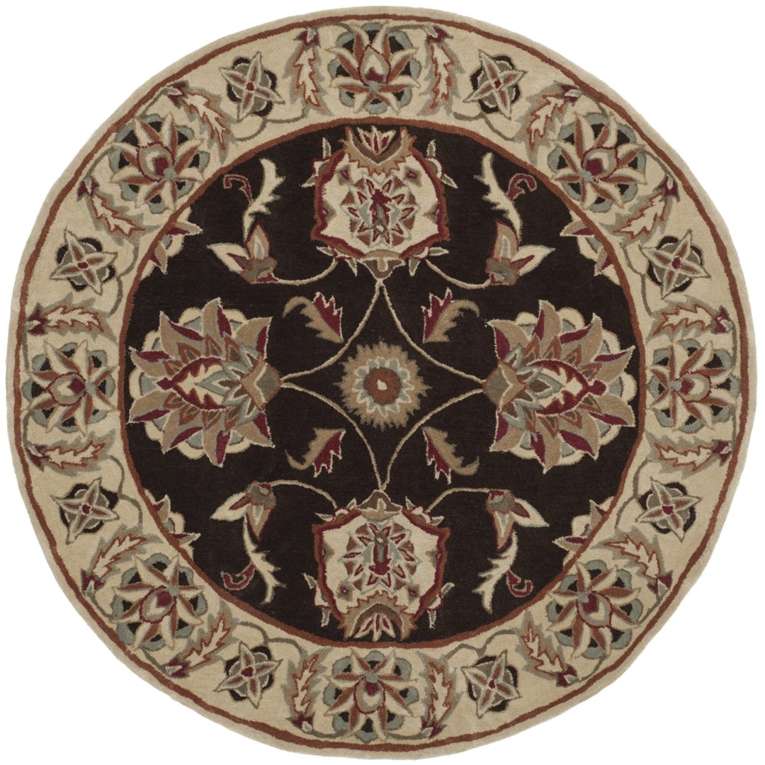 SAFAVIEH TLP742A Total Performance Brown / Ivory Image 1