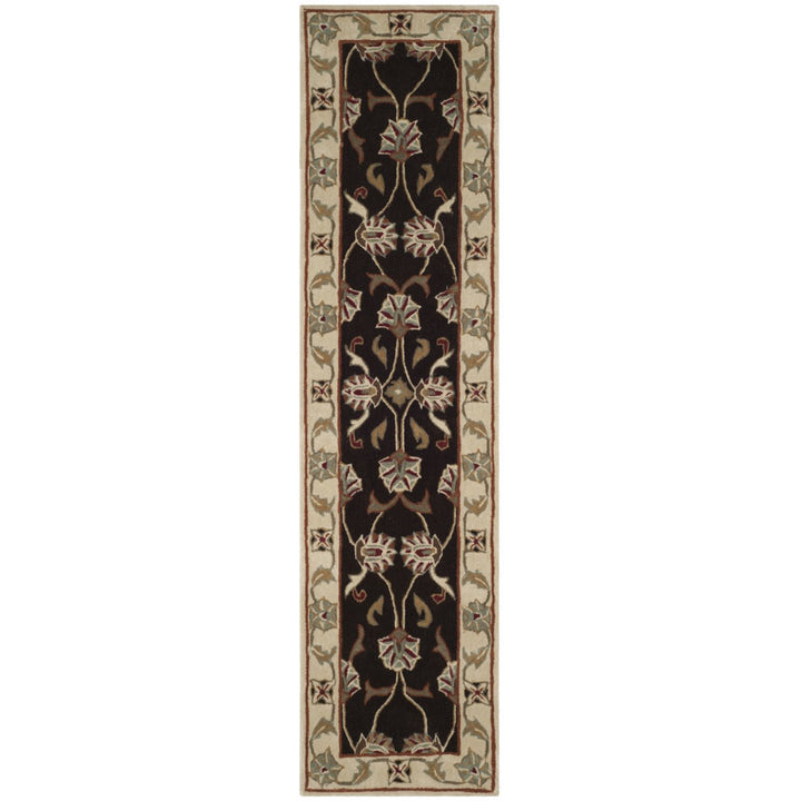 SAFAVIEH TLP742A Total Performance Brown / Ivory Image 1