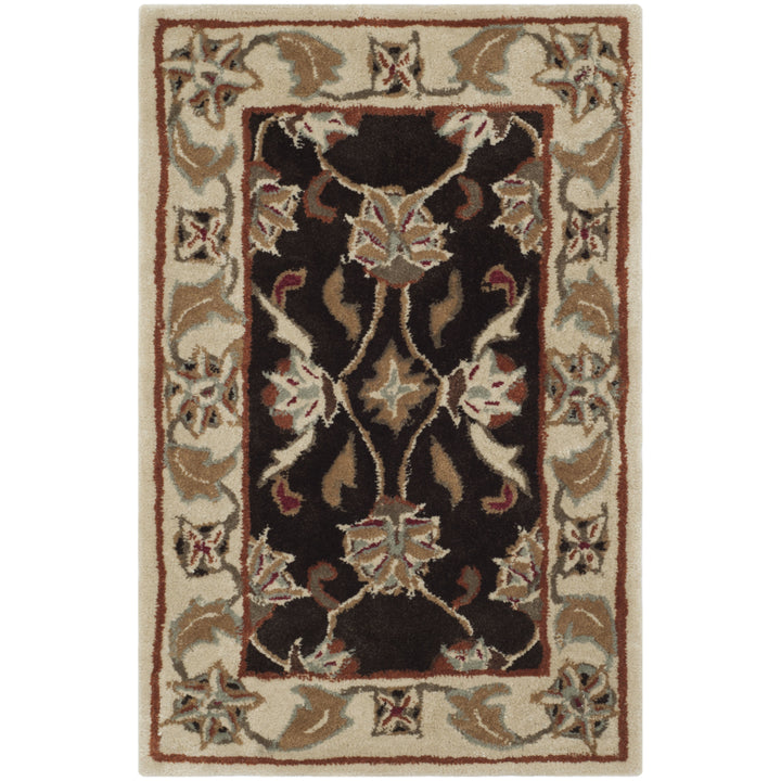 SAFAVIEH TLP742A Total Performance Brown / Ivory Image 1