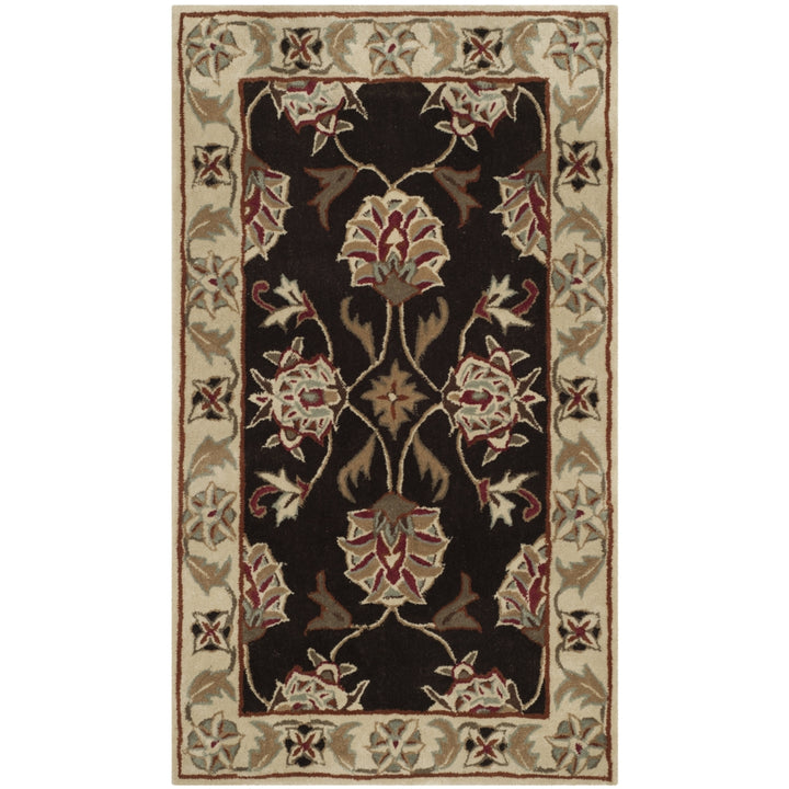 SAFAVIEH TLP742A Total Performance Brown / Ivory Image 3