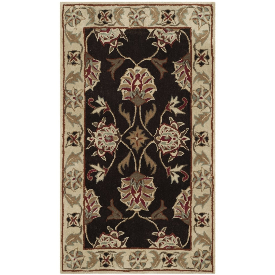 SAFAVIEH TLP742A Total Performance Brown / Ivory Image 1