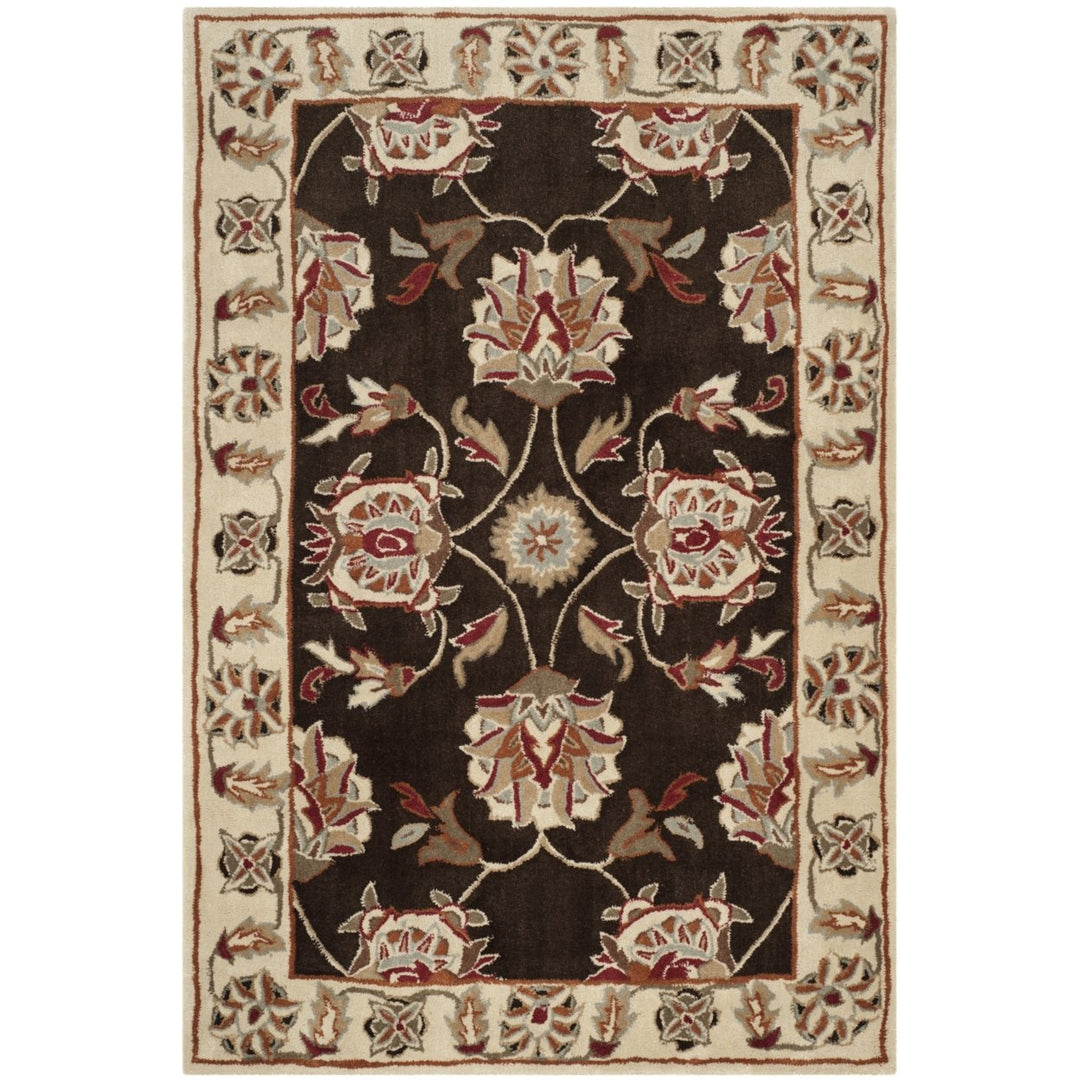 SAFAVIEH TLP742A Total Performance Brown / Ivory Image 4