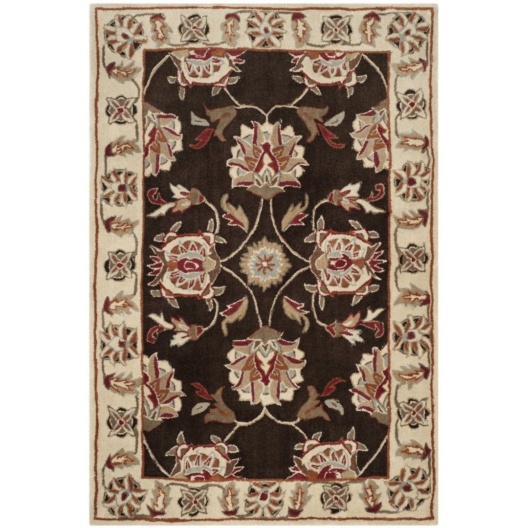 SAFAVIEH TLP742A Total Performance Brown / Ivory Image 1