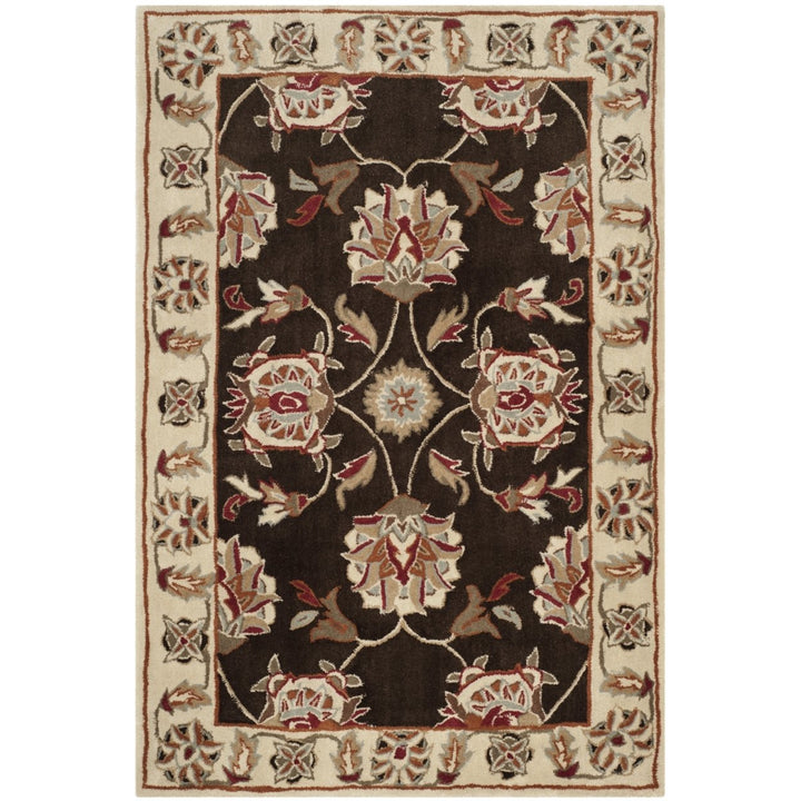 SAFAVIEH TLP742A Total Performance Brown / Ivory Image 1