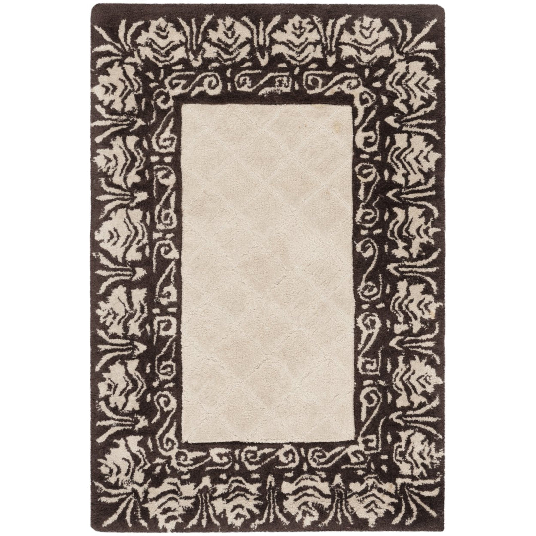 SAFAVIEH Total Performance TLP755B Ivory / Chocolate Rug Image 1