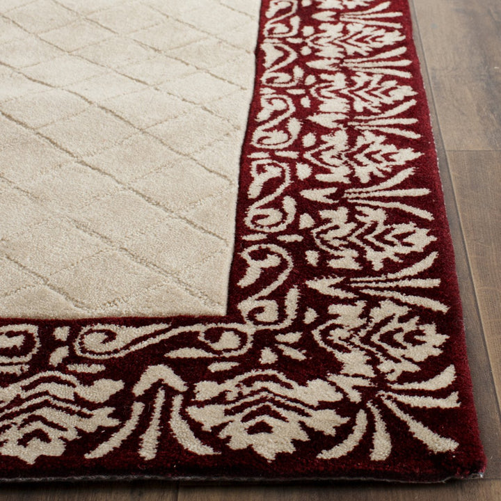 SAFAVIEH Total Performance TLP755C Ivory / Maroon Rug Image 6