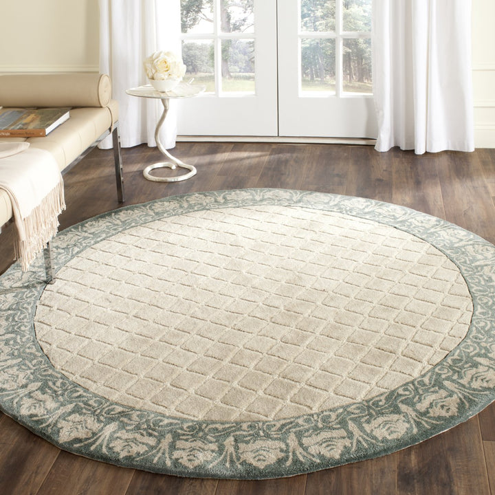 SAFAVIEH Total Performance TLP755E Ivory / Blue Rug Image 2