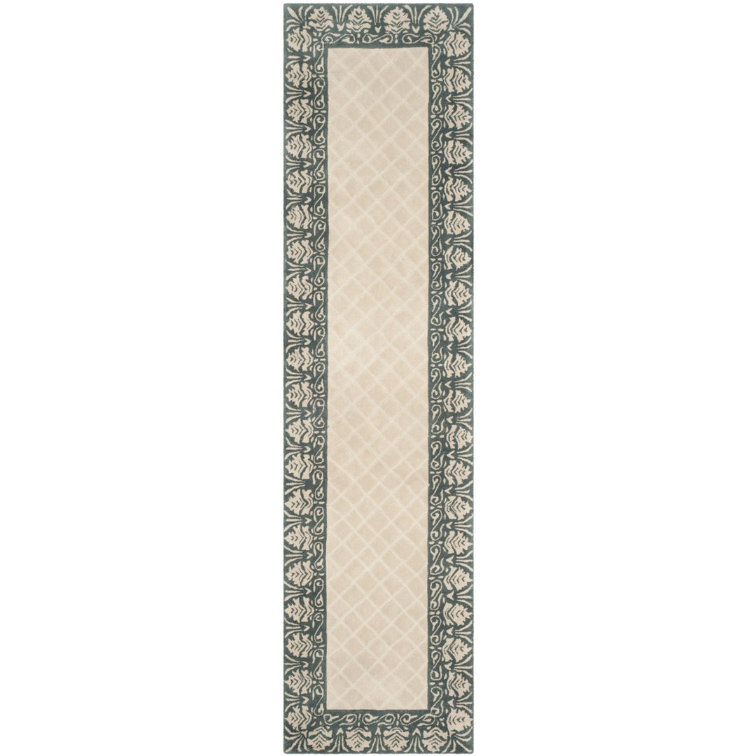 SAFAVIEH Total Performance TLP755E Ivory / Blue Rug Image 1