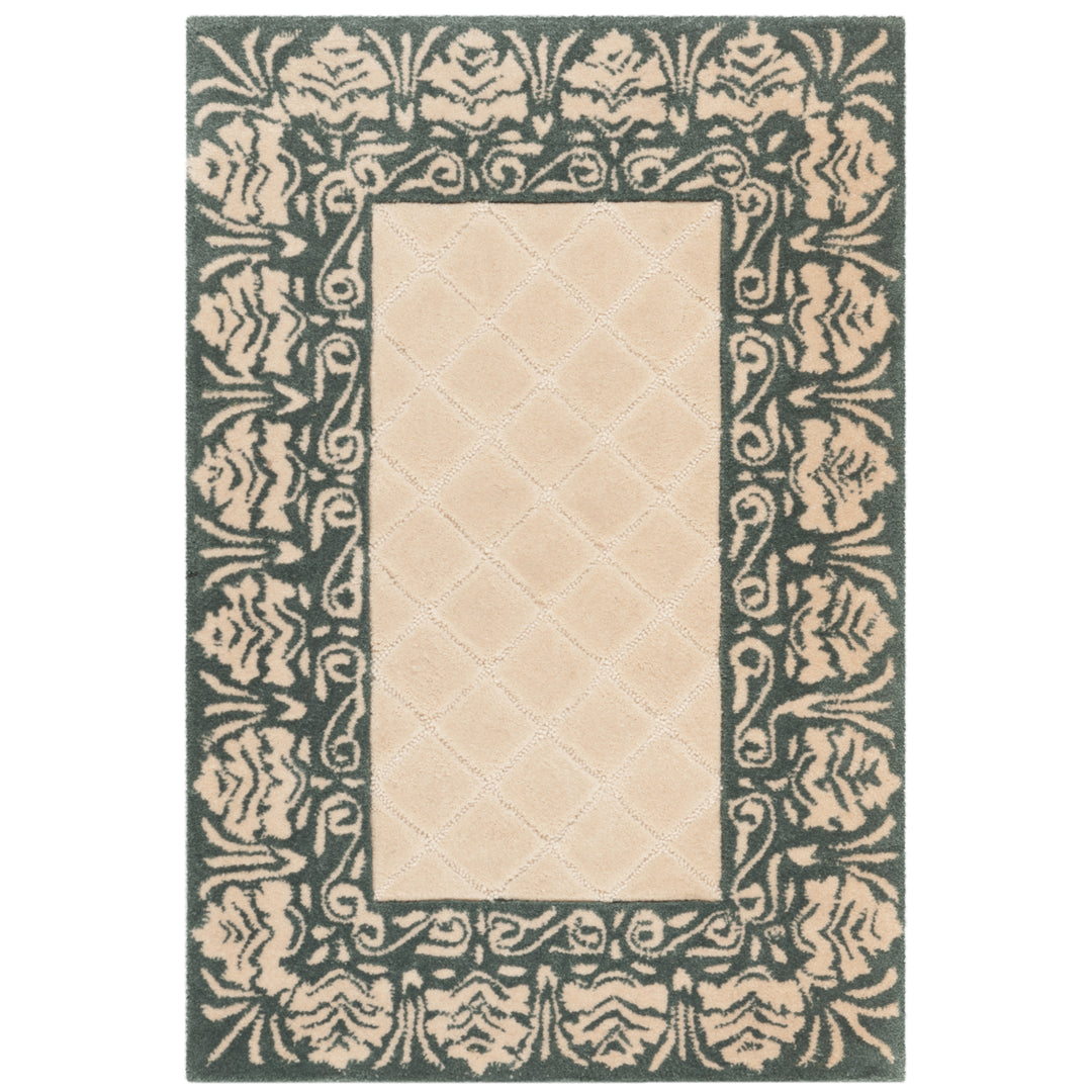 SAFAVIEH Total Performance TLP755E Ivory / Blue Rug Image 7