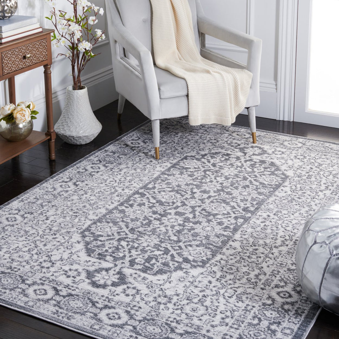 SAFAVIEH Toscana Collection TOS652A Ivory / Dark Grey Rug Image 1