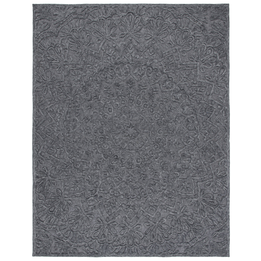 SAFAVIEH Trace Collection TRC601H Dark Grey Rug Image 1