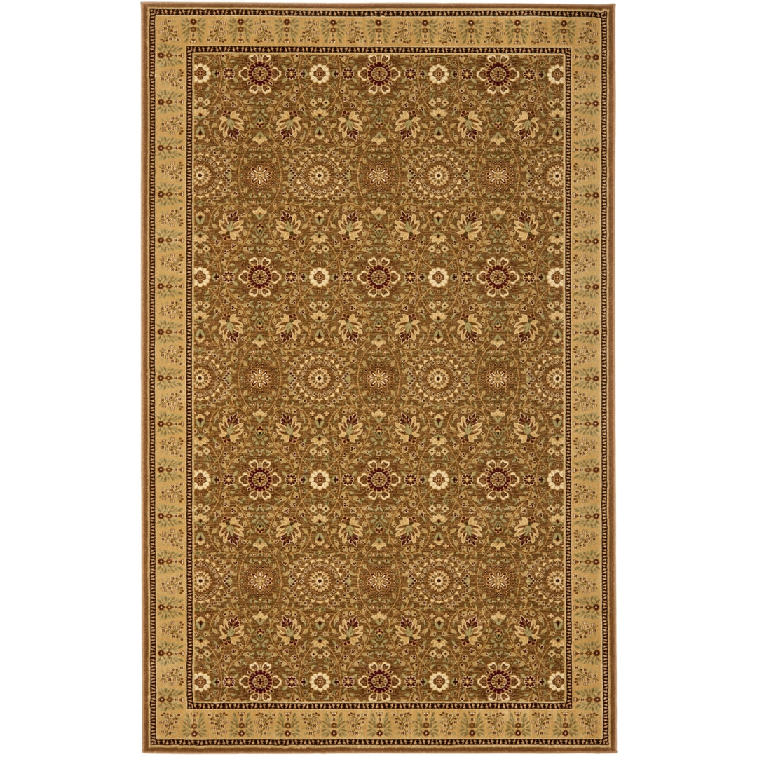 SAFAVIEH Treasures TRE215-4922 Olive / Caramel Rug Image 1