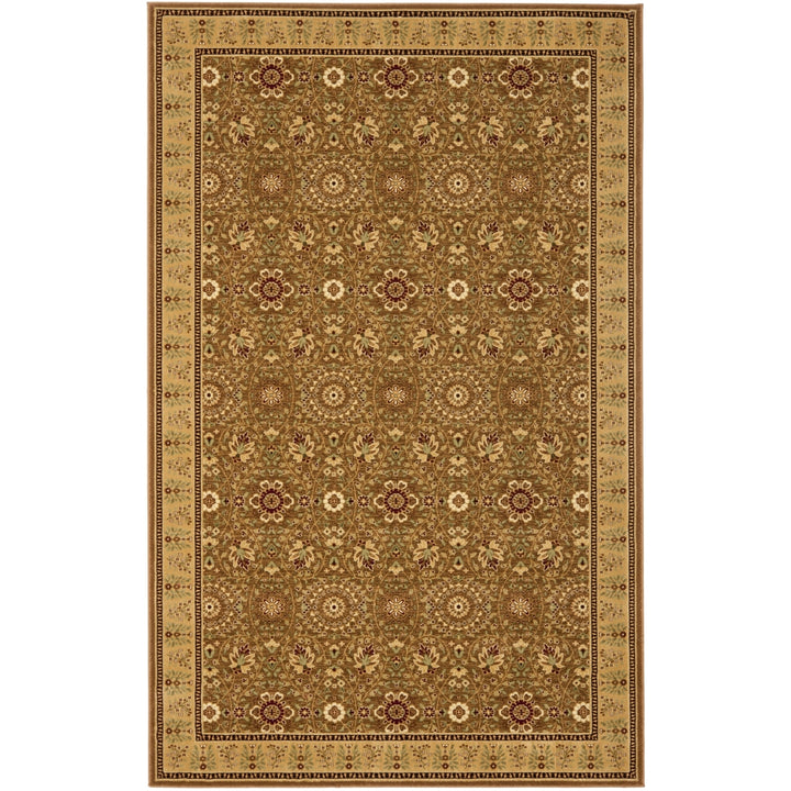 SAFAVIEH Treasures TRE215-4922 Olive / Caramel Rug Image 1