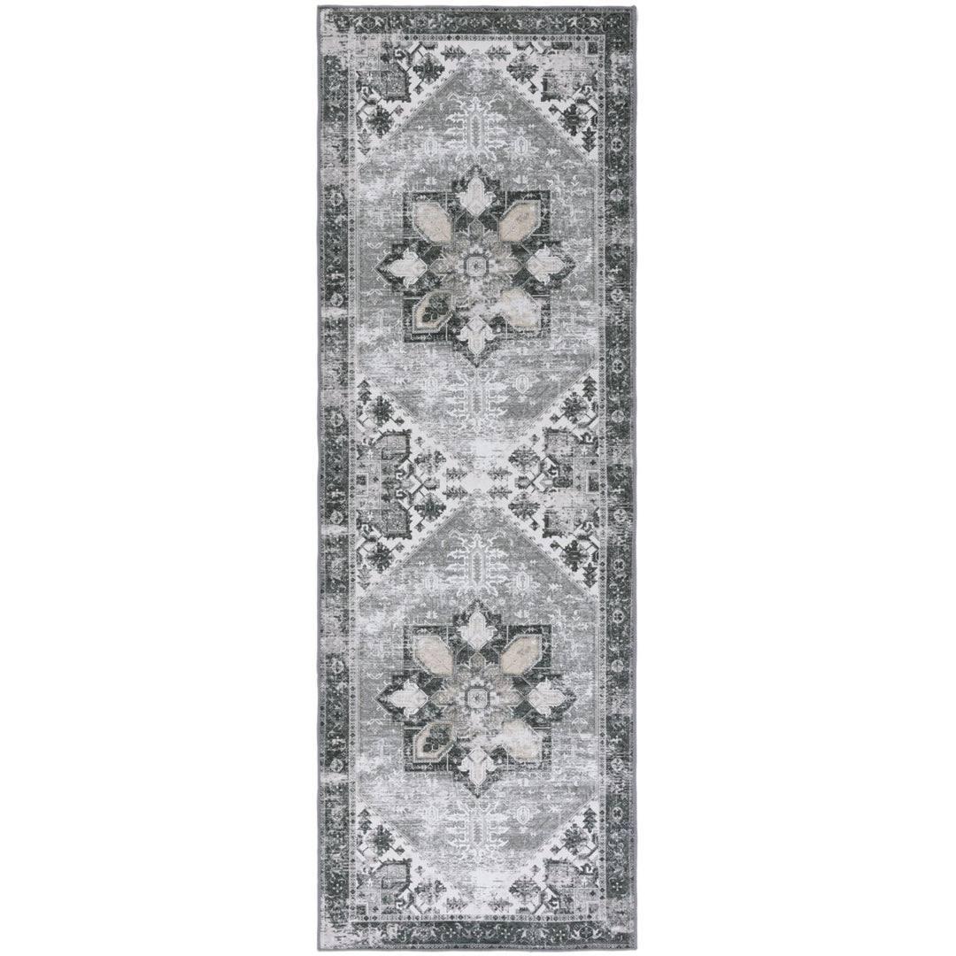 SAFAVIEH TSN102F Tucson Dark Sage / Ivory Image 1