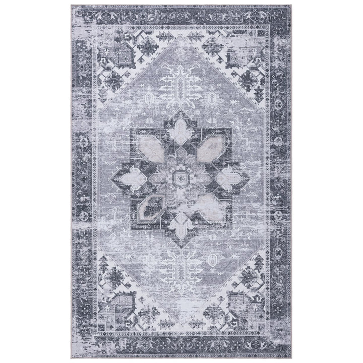 SAFAVIEH TSN102F Tucson Dark Sage / Ivory Image 1