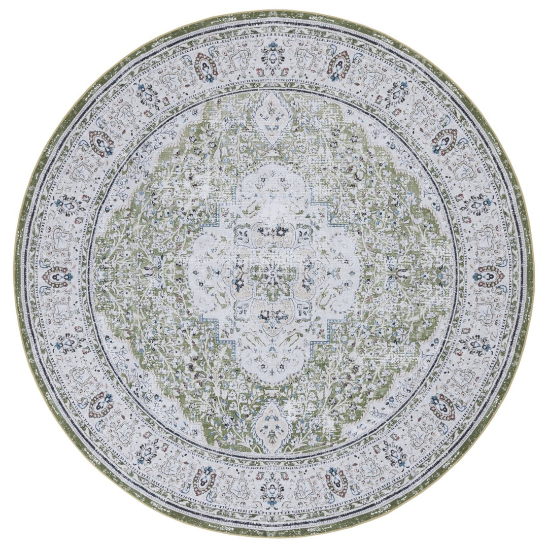 SAFAVIEH Tucson Collection TSN136Y Green / Beige Rug Image 1