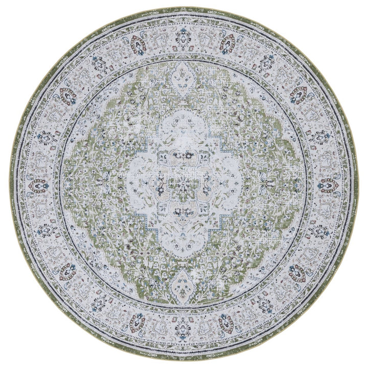 SAFAVIEH Tucson Collection TSN136Y Green / Beige Rug Image 3