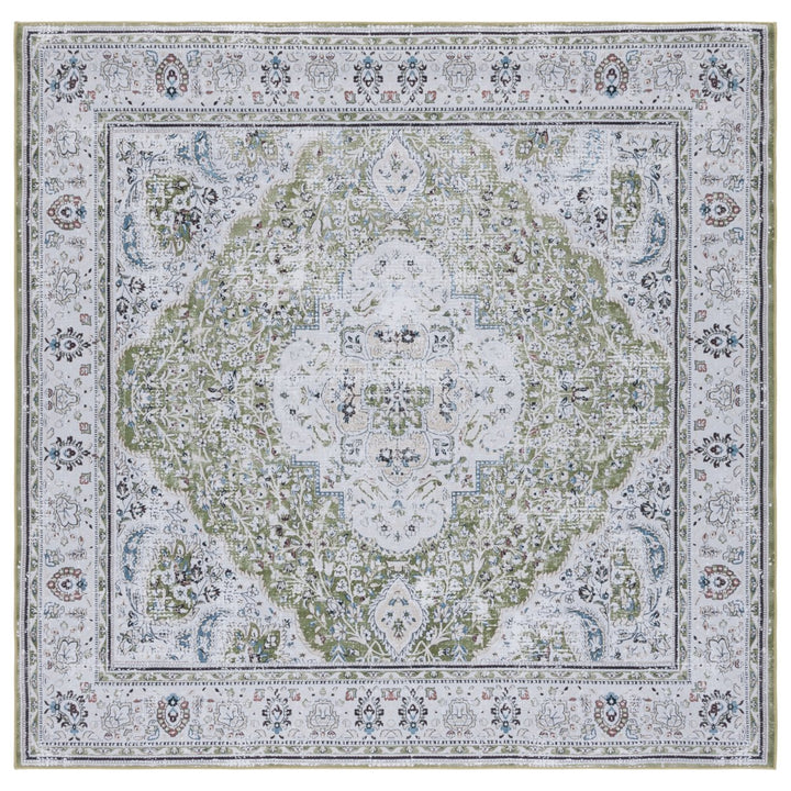 SAFAVIEH Tucson Collection TSN136Y Green / Beige Rug Image 1