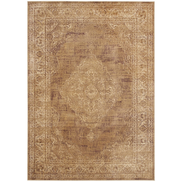 SAFAVIEH Vintage Collection VTG112-660 Taupe Rug Image 1