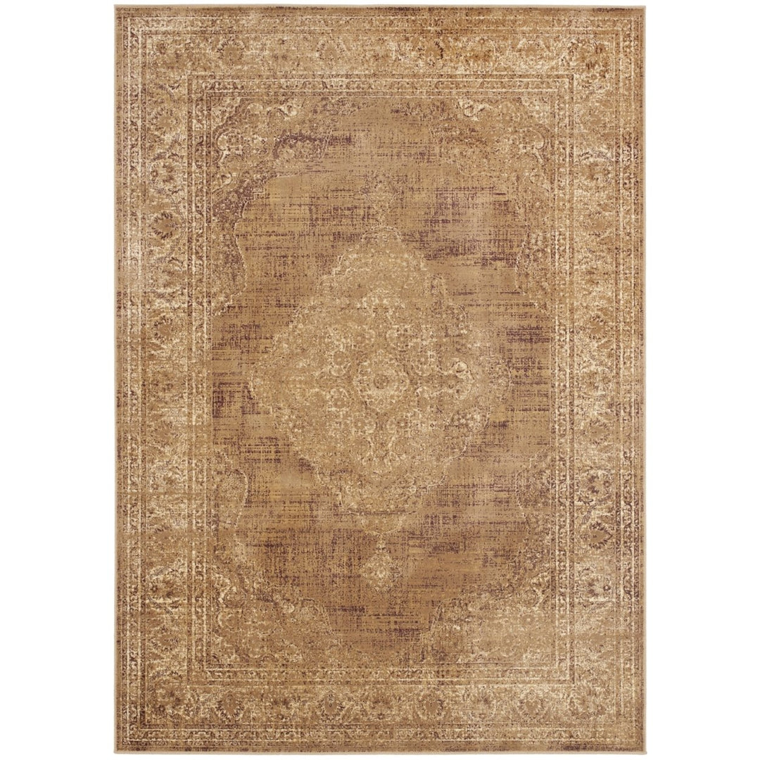 SAFAVIEH Vintage Collection VTG112-660 Taupe Rug Image 1