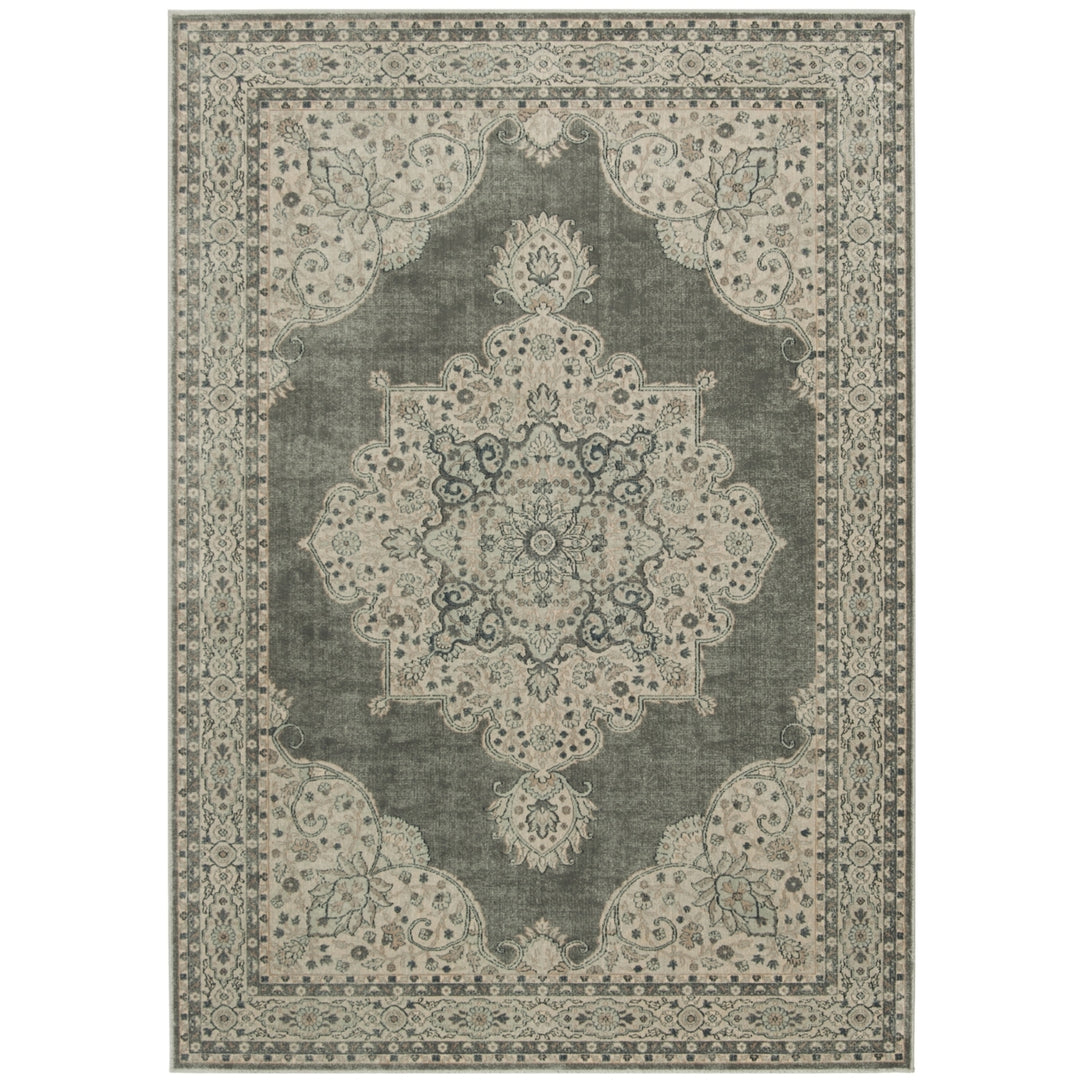 SAFAVIEH Vintage VTG145-110 Light Grey Rug Image 2