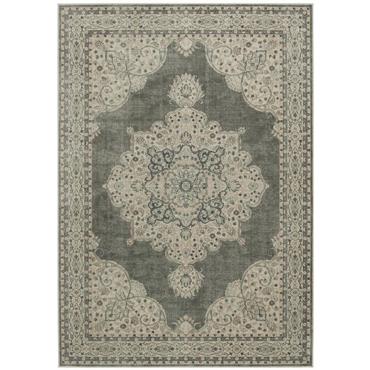 SAFAVIEH Vintage VTG145-110 Light Grey Rug Image 2