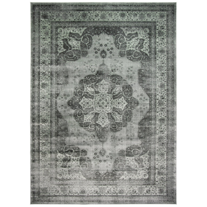 SAFAVIEH Vintage VTG158-770 Grey / Multi Rug Image 1