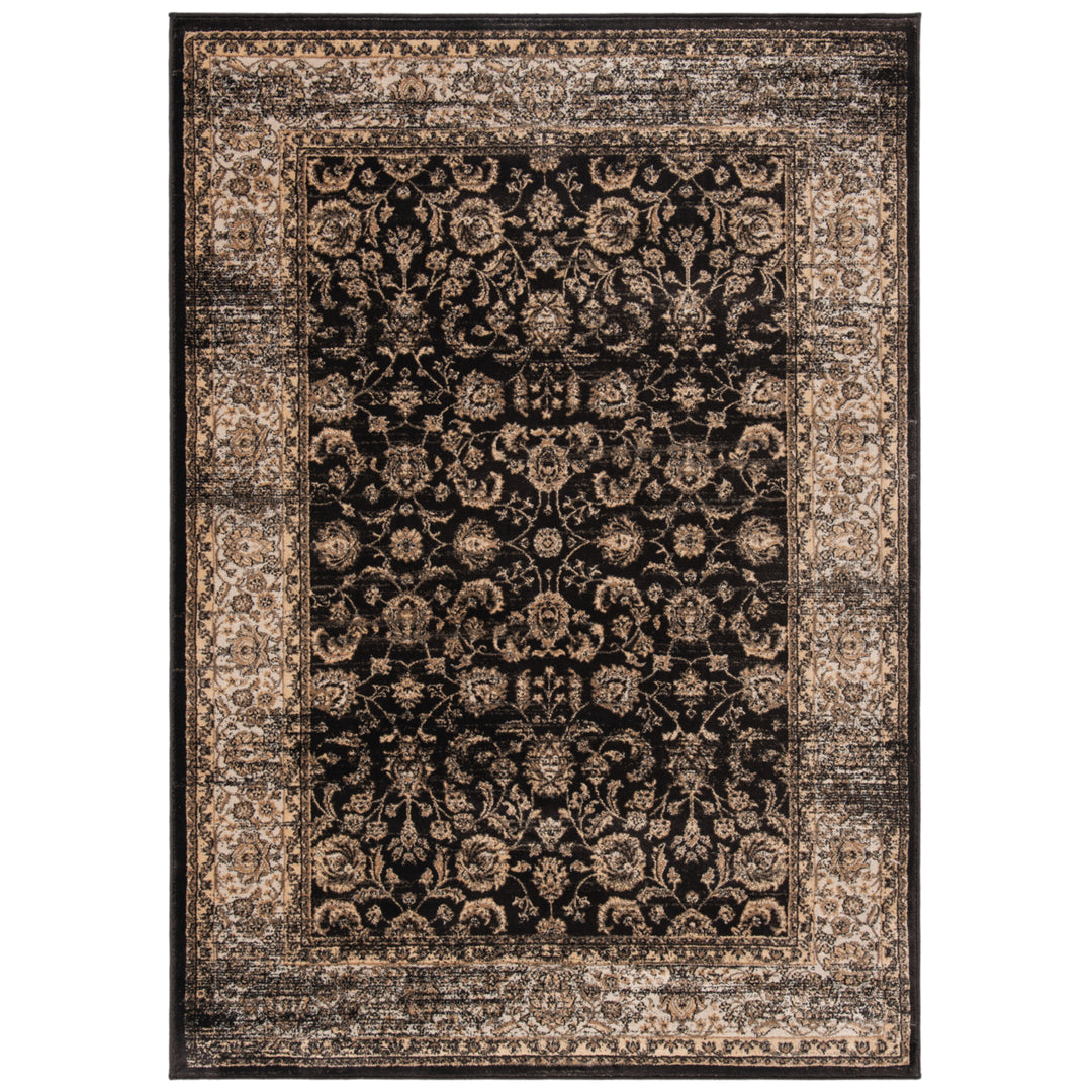 SAFAVIEH Vintage VTG571F Black / Ivory Rug Image 1