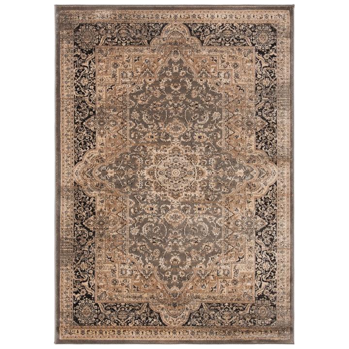 SAFAVIEH Vintage VTG574D Taupe / Black Rug Image 10