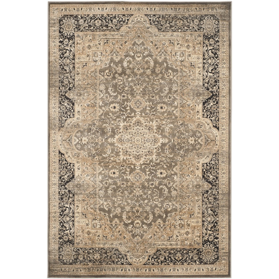 SAFAVIEH Vintage VTG574D Taupe / Black Rug Image 1