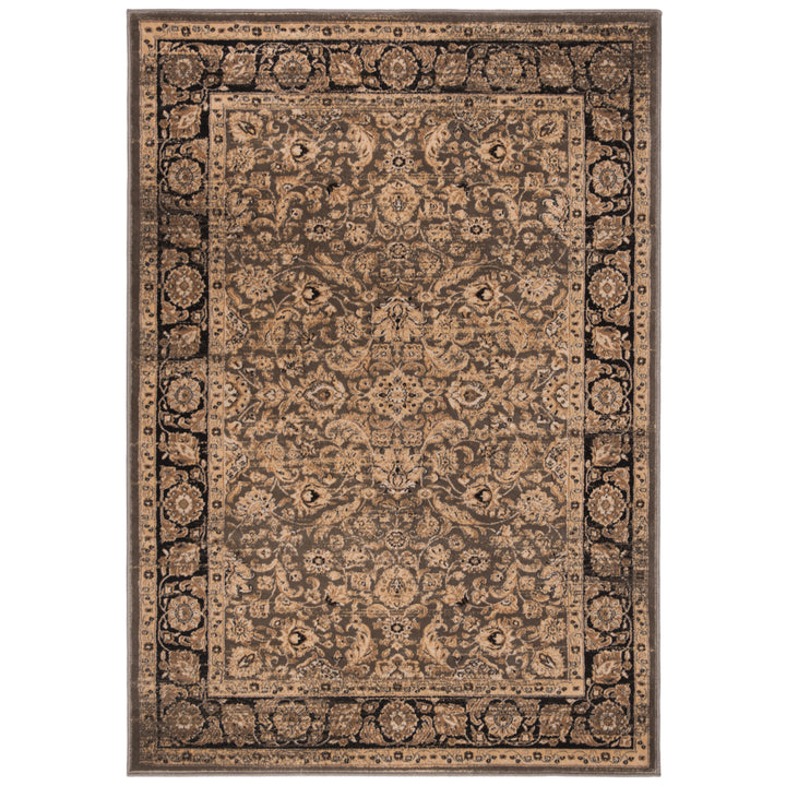 SAFAVIEH Vintage VTG576D Taupe / Black Rug Image 8