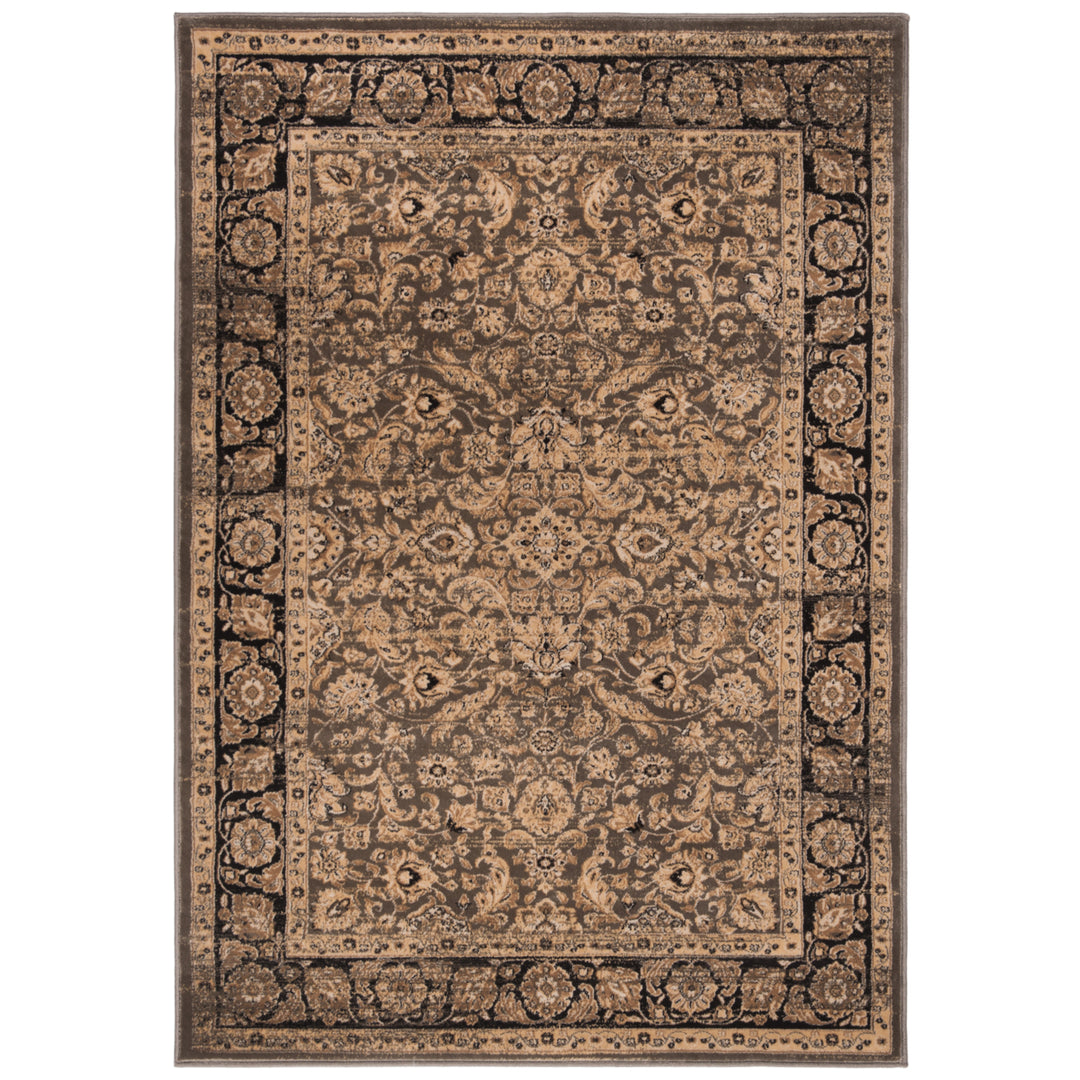 SAFAVIEH Vintage VTG576D Taupe / Black Rug Image 8