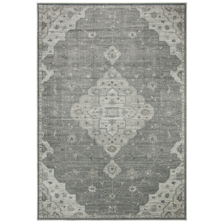 SAFAVIEH Vintage VTG873-7110 Grey / Beige Rug Image 1