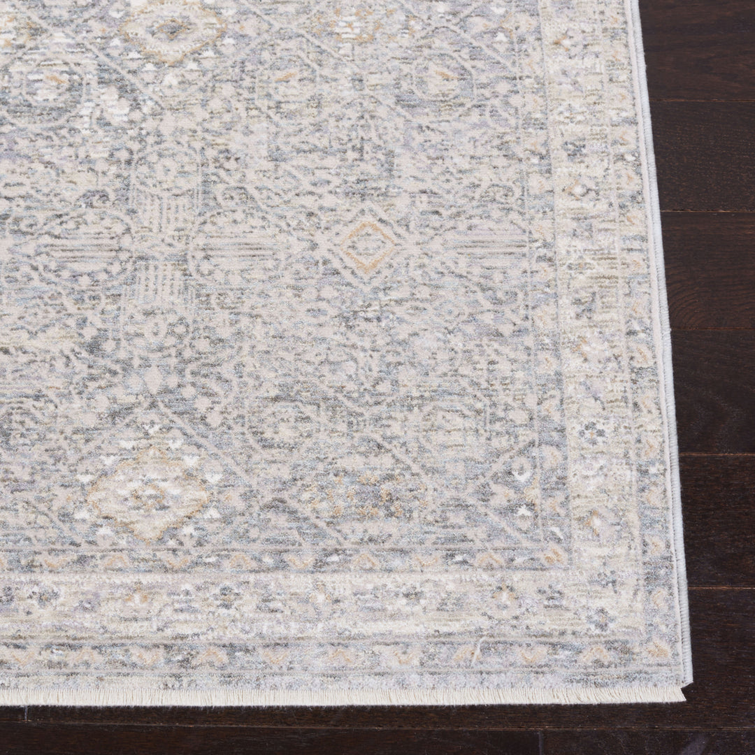 SAFAVIEH Webster Collection WBS334G Grey / Beige Rug Image 7