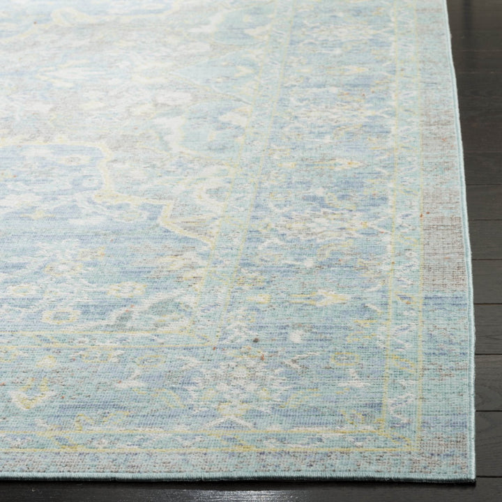 SAFAVIEH Windsor Collection WDS319H Seafoam / Blue Rug Image 4